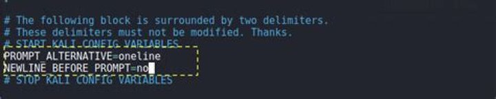 0xfk :kali prompt oneline