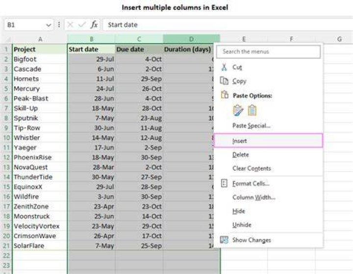 Add (insert) a column between two columns in a data.frame