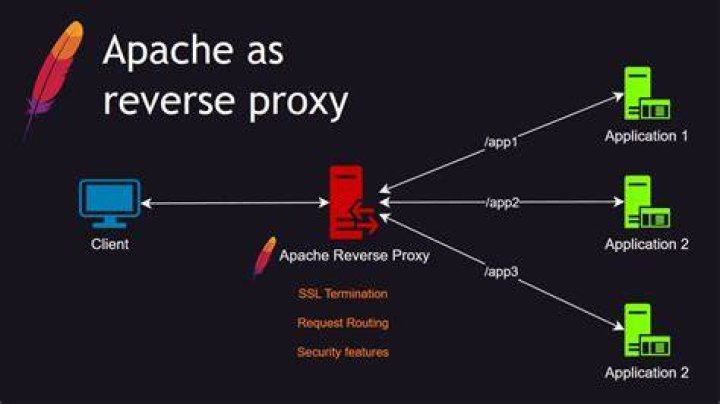 Apache Proxy and Daphne : slow connection