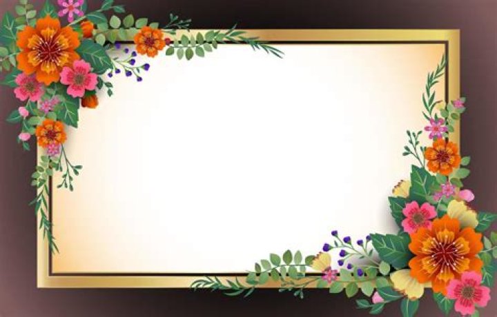 background image border