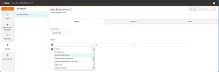 Can I add a variable date in a ControlM job that will be used in a script?