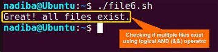 Check if file exists in s3 using ls and wildcard