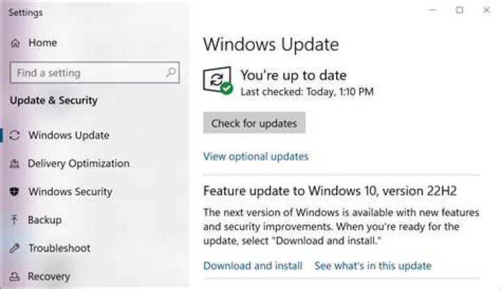 Downloading Windows 10 21H2 wrong build