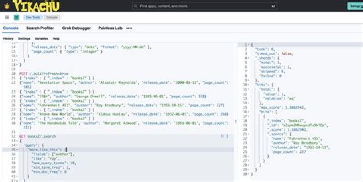 Elasticsearch More Like This Query