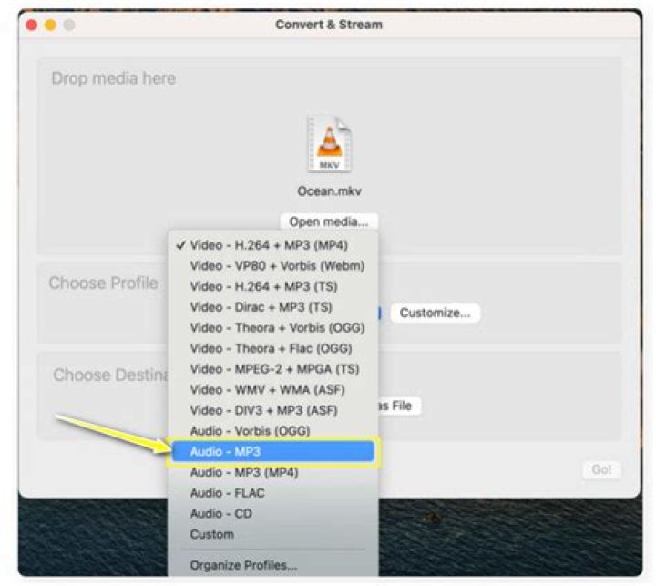 ffmpeg how to extract audio from mkv to ogg