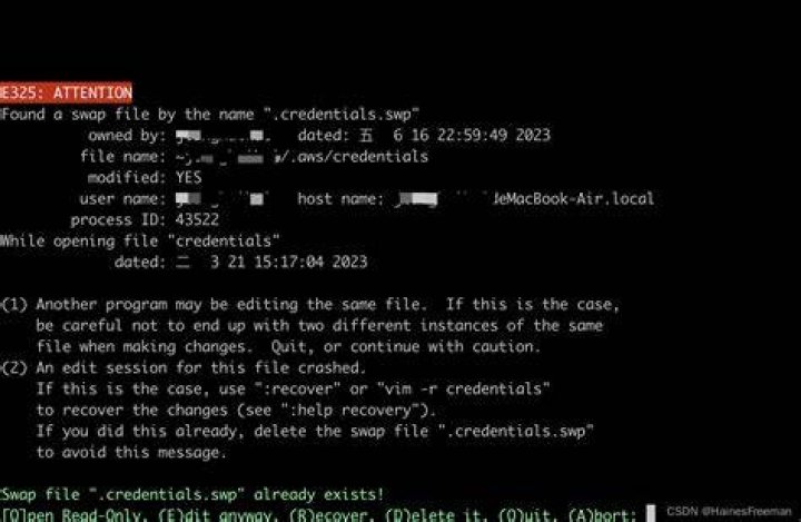 Found a swap file by the name