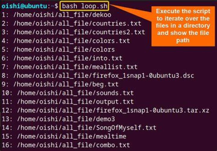 Get last dirname/filename in a file path argument in Bash