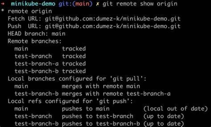 Git pull a certain branch from GitHub
