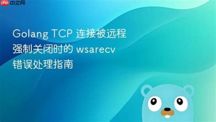 Golang TCP error wsarecv