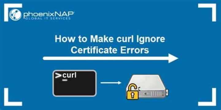 How do I make curl ignore the proxy?