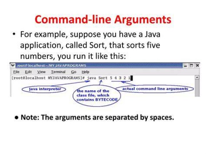 How do I parse command line arguments in Java?