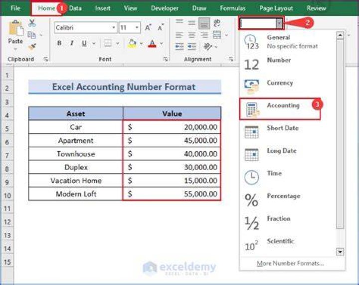 How to change default Accounting Number Format?