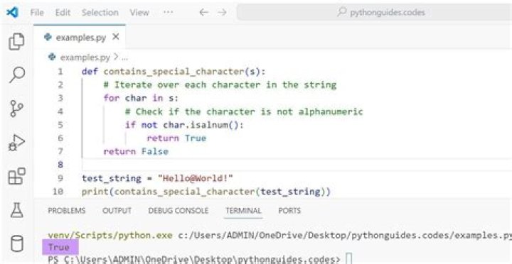 how to check if string contains '+' character [duplicate]