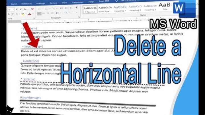 How to delete Horizontal Lines drawn in MS Word