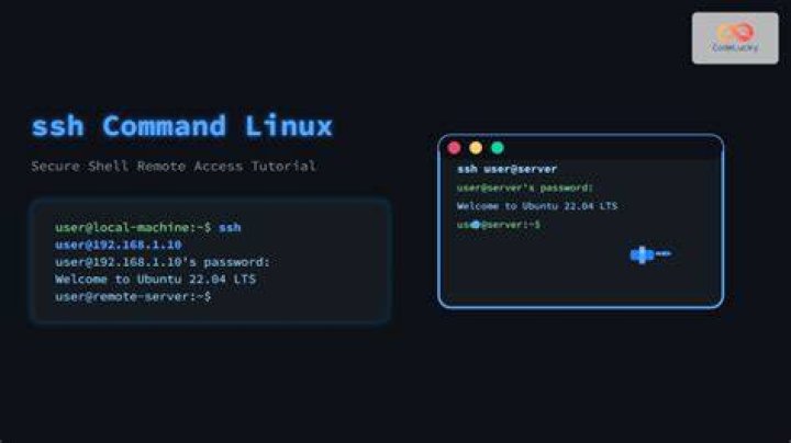 How to download a file from the command line? via ssh?