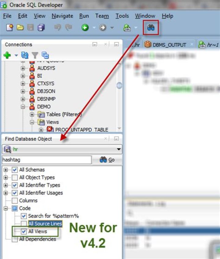 How to Query Database Name in Oracle SQL Developer?