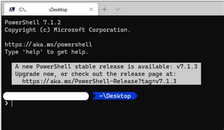 How to remove powershell ads and update checks in the Windows Terminal?