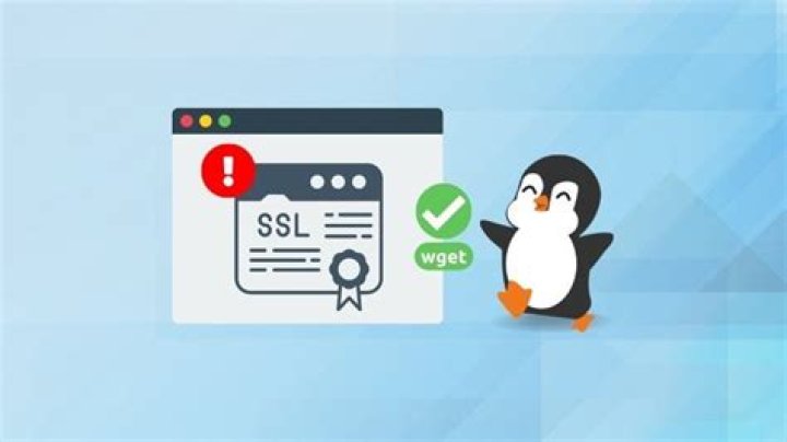 Ignore SSL Certificate Error with Wget