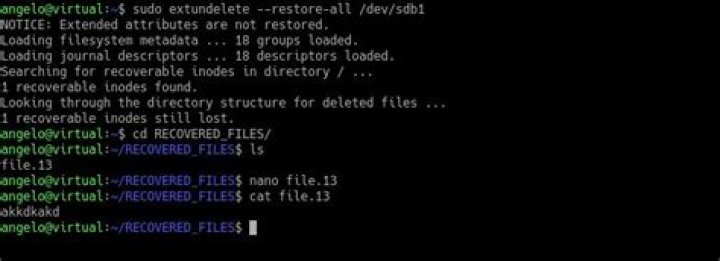 Install extundelete