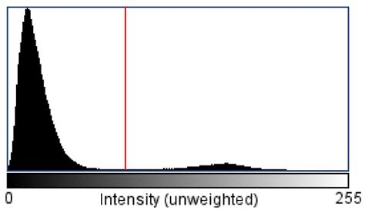 intensity plot