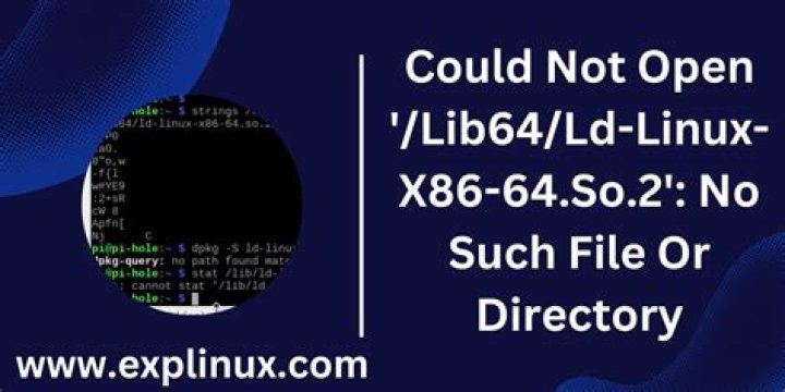 /lib64/ld-linux-x86-64.so.2: No such file or directory error