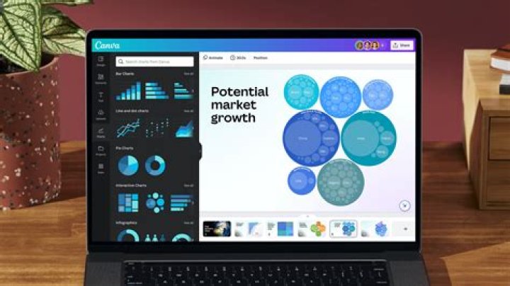 newaxis canva visualization