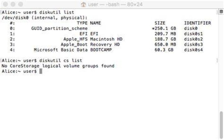 No CoreStorage logical volume groups found
