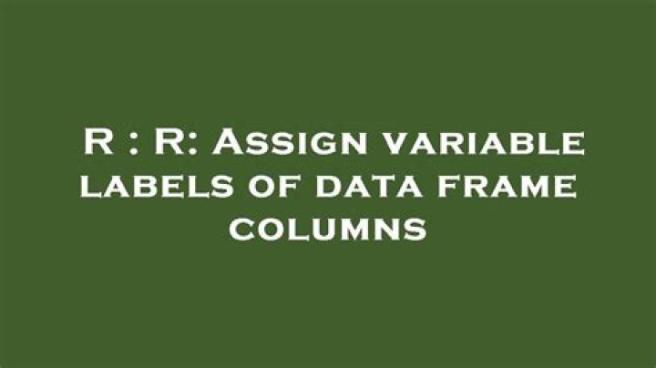 R: Assign variable labels of data frame columns