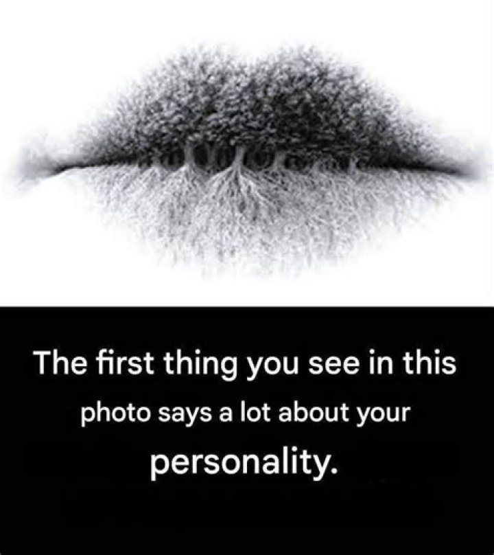 See In The Image: