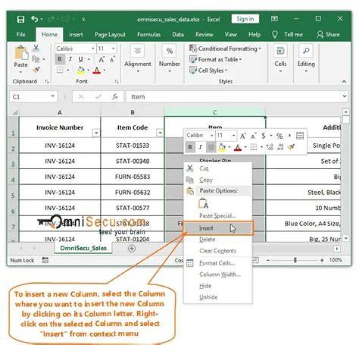 Selecting Table from the Insert tab