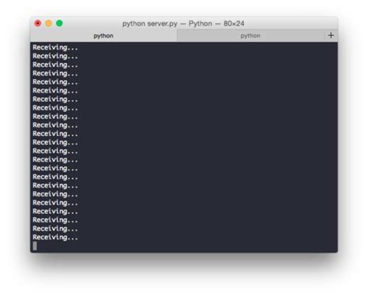 Sending a file over TCP sockets in Python