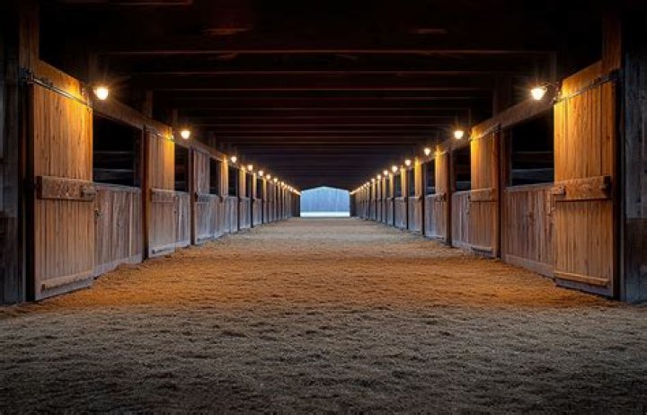 _sTable