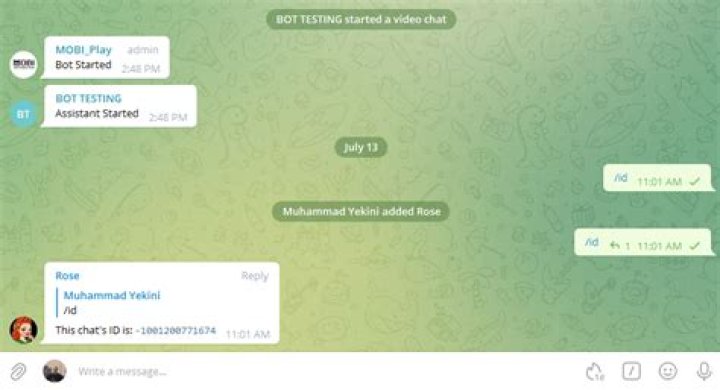 Telegram Bot - how to get a group chat id?