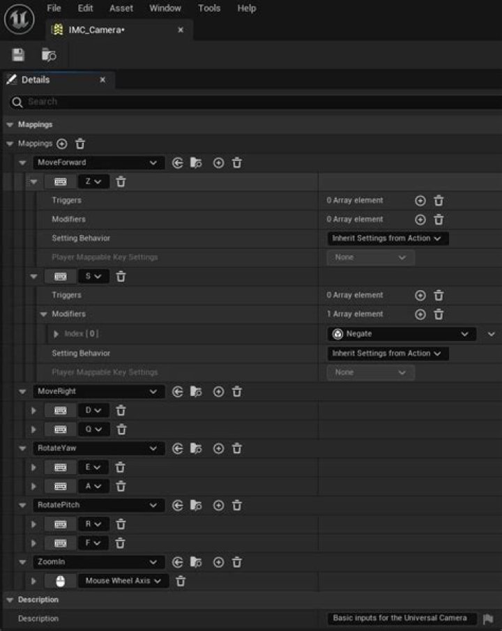 The input mapping context