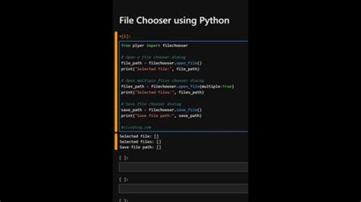 the python chooser