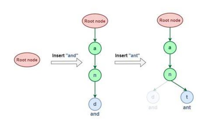 Trie complexity and searching
