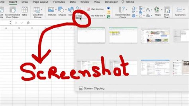 uploaded screenshot of Excel