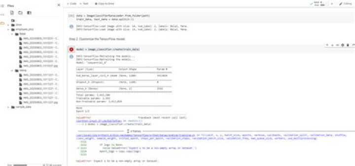 ValueError: Expect x to be a non-empty array or dataset (Tensor Flow lite model maker on Collab)