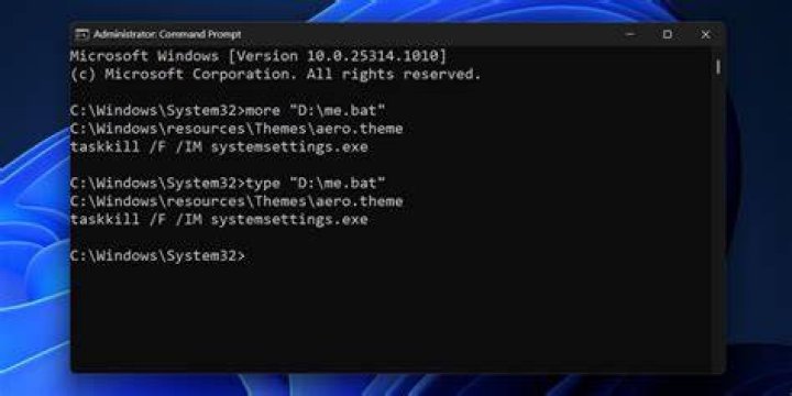 View the content of a .bat file through command prompt