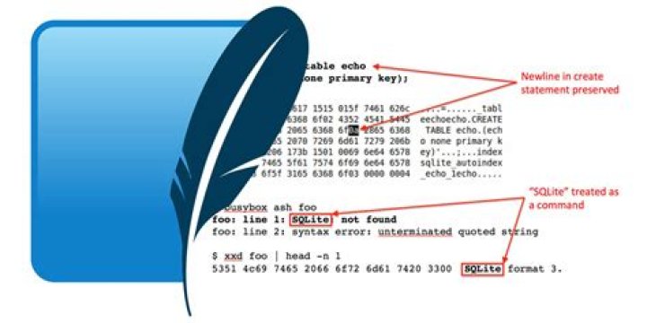 WARNING: org.xerial's sqlite-jdbc is not loaded