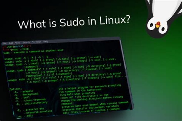 What does sudo ln -sfn do?