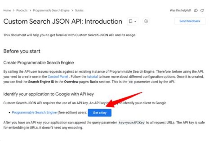 What does the linkSite option do with Google Custom Search API?
