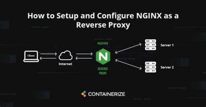 What does the proxy_pass option in the NGINX config do?