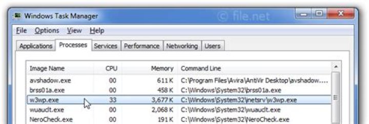 What is w3wp.exe?