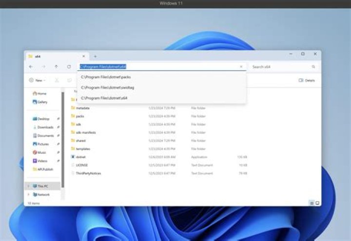 Where is the dotnet command executable located on Windows?