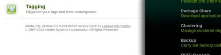 Which version/service pack of Adobe CQ5 is running?