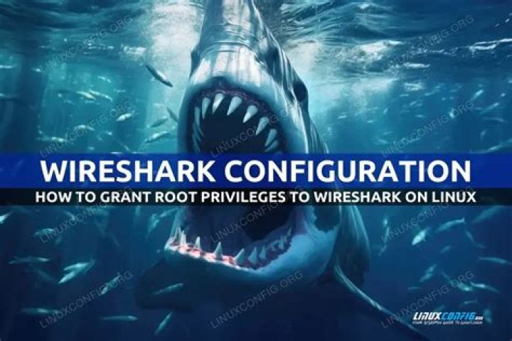 Wireshark in Administrator privileges.